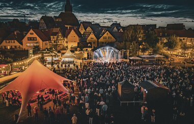Eppinger Festivalsommer 2026 - SUNDOWNER - Philipp Lumpp auf der Bühne im Weiherpark | © Stadt Eppingen