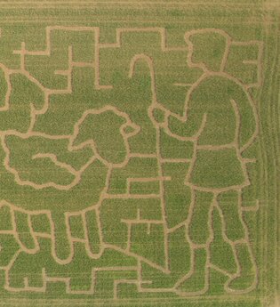 Aus der Luft ist das aufwändig gestaltete Motiv des Labyrinths schon gut erkennbar. Es zeigt im Jubiläumsjahr „200 Jahre Heilquellen“ deren Entdecker, Schäfer Gehrig, mit zwei seiner Schafe. | © Jens Hackmann