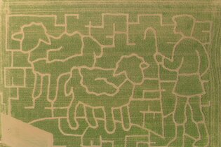 Aus der Luft ist das aufwändig gestaltete Motiv des Labyrinths schon gut erkennbar. Es zeigt im Jubiläumsjahr „200 Jahre Heilquellen“ deren Entdecker, Schäfer Gehrig, mit zwei seiner Schafe. | © Jens Hackmann
