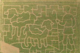 Aus der Luft ist das aufwändig gestaltete Motiv des Labyrinths schon gut erkennbar. Es zeigt im Jubiläumsjahr „200 Jahre Heilquellen“ deren Entdecker, Schäfer Gehrig, mit zwei seiner Schafe. | © Jens Hackmann