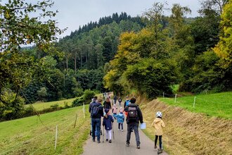 Erlebniswanderung "Der Wald und seine Tiere - Bauen, Formen, Hören und Sehen" - in Kooperation mit dem Geo-Naturpark Bergstraße-Odenwald