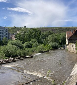 Fluss in Besigheim mit angrenzenden Gebäuden und Weinbergen im Hintergrund. | © Stadt Besigheim