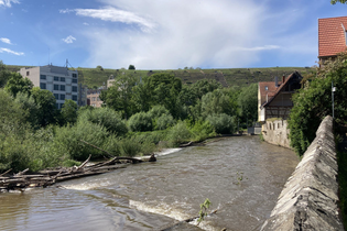 Fluss in Besigheim mit angrenzenden Gebäuden und Weinbergen im Hintergrund. | © Stadt Besigheim