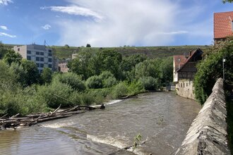 Fluss in Besigheim mit angrenzenden Gebäuden und Weinbergen im Hintergrund. | © Stadt Besigheim