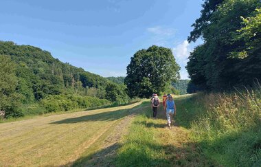 Eschentaler Bach - Den kühlen Wald genießen