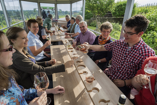 Theo | Planwagen- und Weinbergrundfahrten | Brackenheim | © Weingärtner Stromberg-Zabergäu