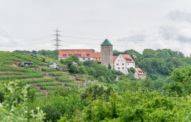 Schloss Liebenstein | Neckarwestheim | HeilbronnerLand | © Gemeinde Neckarwestheim