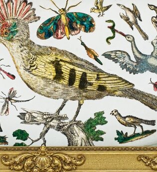 Tiere als Kupferstichbilder in einem goldenen Rahmen