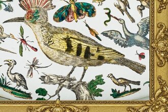 Tiere als Kupferstichbilder in einem goldenen Rahmen
