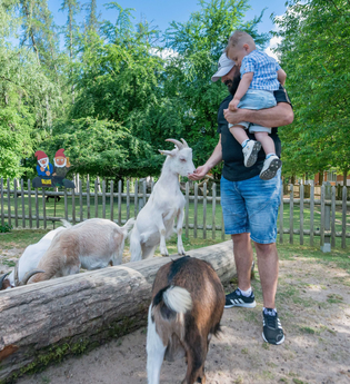 Vater und Kind im Ziegengehege