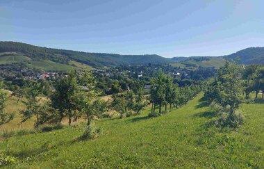 Farbenspiel im Steinbacher Tal