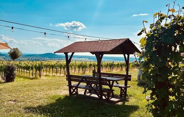 FEEL Festival Sundowner Afterparty (Eintritt frei zum Sundower)