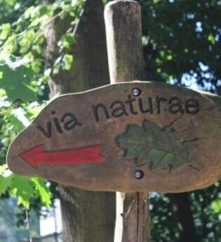 Feierabendrunde „via naturae“