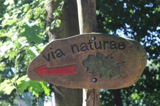 Feierabendrunde „via naturae“