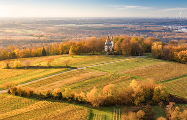 Feierabendtour - Kraichgauer Wein | © Landratsamt Rhein-Neckar