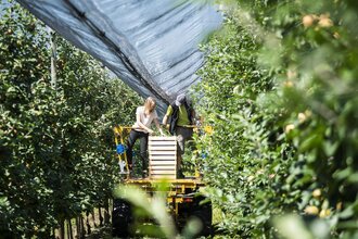 Feuer & Frucht – Eine genussvolle Tippelei rund um die Destillate | © TMBW
