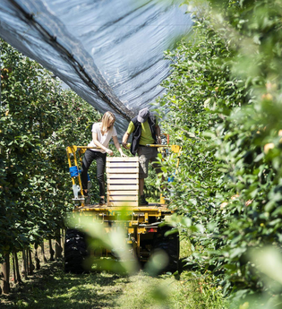 Feuer & Frucht – Eine genussvolle Tippelei rund um die Destillate | © TMBW