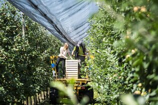 Feuer & Frucht – Eine genussvolle Tippelei rund um die Destillate | © TMBW