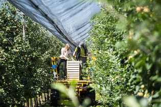 Feuer & Frucht – Eine genussvolle Tippelei rund um die Destillate | © TMBW