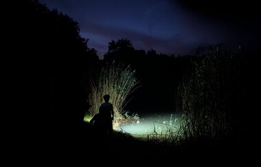 Fledermäuse finden Freunde – Mit dem Bat-Detektor auf Entdeckungsreise