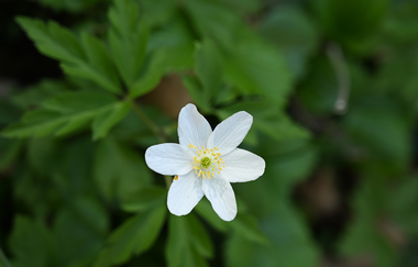 Foto Wanderung - kreative Auszeit vom Alltag | © Jennifer Reisner Fotografie