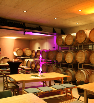 Frühjahrsweinverkostung im Holzfasskeller | © Johannes Linder