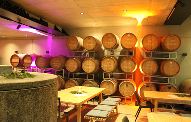 Frühjahrsweinverkostung im Holzfasskeller | © Johannes Linder