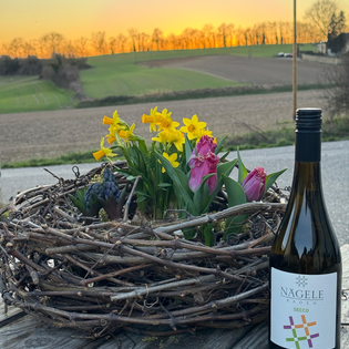 Frühjahrsweinverkostung im Holzfasskeller | © Frieder Nägele