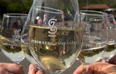 Frühling & Wein | Stromberg-Zabergäu