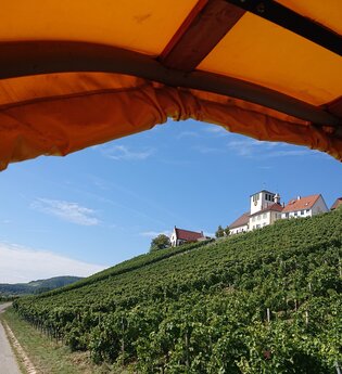 Frühlingserwachen in den Weinbergen | © Weingut Weiberle