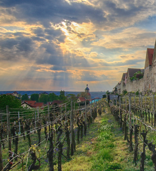 Lauffen am Neckar | HeilbronnerLand | © Ulrich Seidel | Stadtverwaltung Lauffen am Neckar