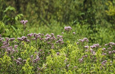 Frühstück auf dem Bauernhof - Aktivstall Carle | © TMBW