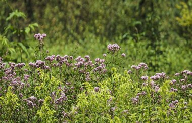 Frühstück auf dem Bauernhof - Aktivstall Carle | © TMBW
