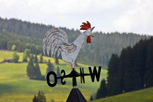 Frühstück auf dem Bauernhof - Aktivstall Carle | © TMBW