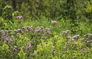Frühstück auf dem Bauernhof - Aktivstall Carle | © TMBW