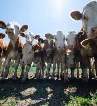 Frühstück auf dem Bauernhof - Jagsttalranch Großforst | © TMBW