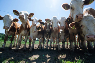 Frühstück auf dem Bauernhof - Jagsttalranch Großforst | © TMBW