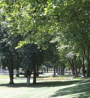 Führung "Baumbegegnungen" | © Kurverwaltung Bad Mergentheim