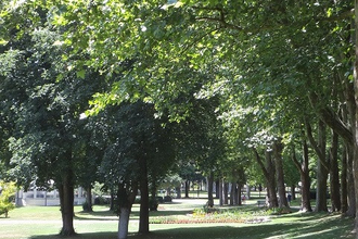 Führung zum Tag des Baumes | © Kurverwaltung Bad Mergentheim