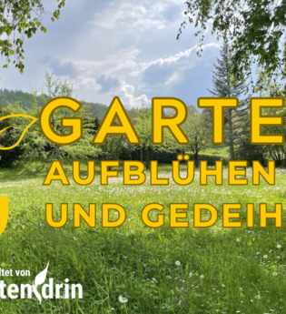 Garten - Aufblühen und gedeihen | © Volker Markowis