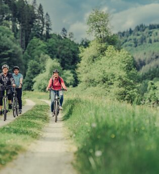 3 Radfahrer fahren auf einem Radweg inmitten von Wiesen und Wäldern | © Touristikgemeinschaft Odenwald e.V.