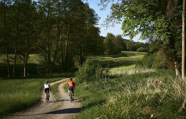Geführte Radtour I Drei Seen Runde | © Tourimia Tourismus GmbH I Stefan Leitner