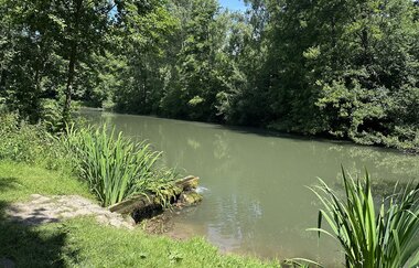 Mühltalsee am Eingang des Fünfmühlentals | © Stadt Bad Rappenau