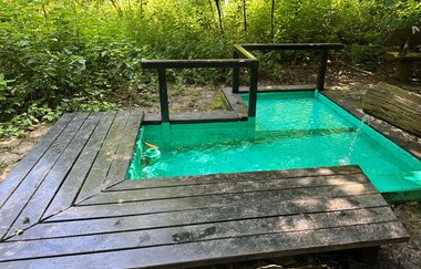 Kneippbecken am Waldsee | © Stadt Bad Rappenau