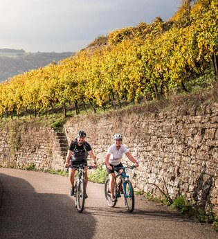 Geführte Radtour I Odenwaldgeheimnisse | © Geschäftsstelle Neckartal-Radweg_Adrian Weng
