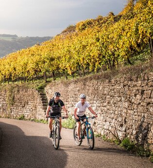 Geführte Radtour I Odenwaldgeheimnisse | © Geschäftsstelle Neckartal-Radweg_Adrian Weng