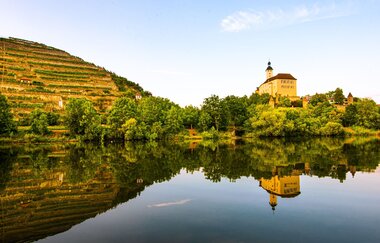 Steillagen-Areal Gundelsheimer Himmelreich | Neckartal | HeilbronnerLand | © Touristikgemeinschaft HeilbronnerLand