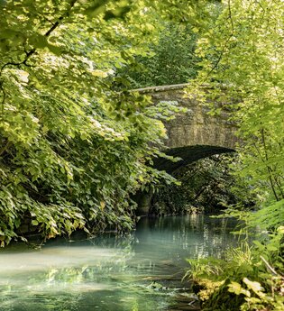 Ein kleiner Bach mit einer steinernen Brücke mit Rundbogen. Die Uferseiten sind stark bewachsen und die Äste ragen über die Schefflenz. Schefflenz im Odenwald