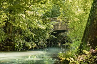 Ein kleiner Bach mit einer steinernen Brücke mit Rundbogen. Die Uferseiten sind stark bewachsen und die Äste ragen über die Schefflenz. Schefflenz im Odenwald