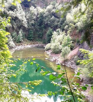Blick von oben durch Bäume auf den Katzenbuckelsee | © Gemeinde Waldbrunn